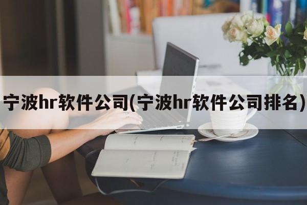宁波hr软件公司(宁波hr软件公司排名)